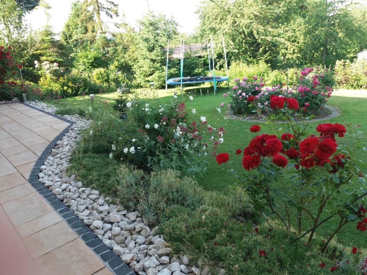 Ferienwohnung Lissner سالم المظهر الخارجي الصورة
